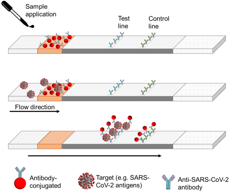 Lateral flow assays – Reagents and equipment for R&D of lateral flow assays